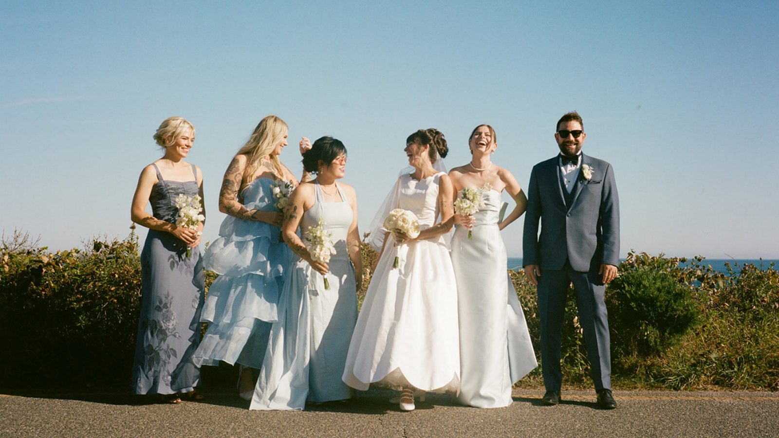 Bridal party group photo, wide shot